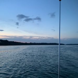 Meet your Posher, Julian